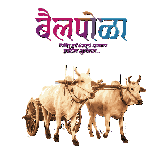 उत्सव